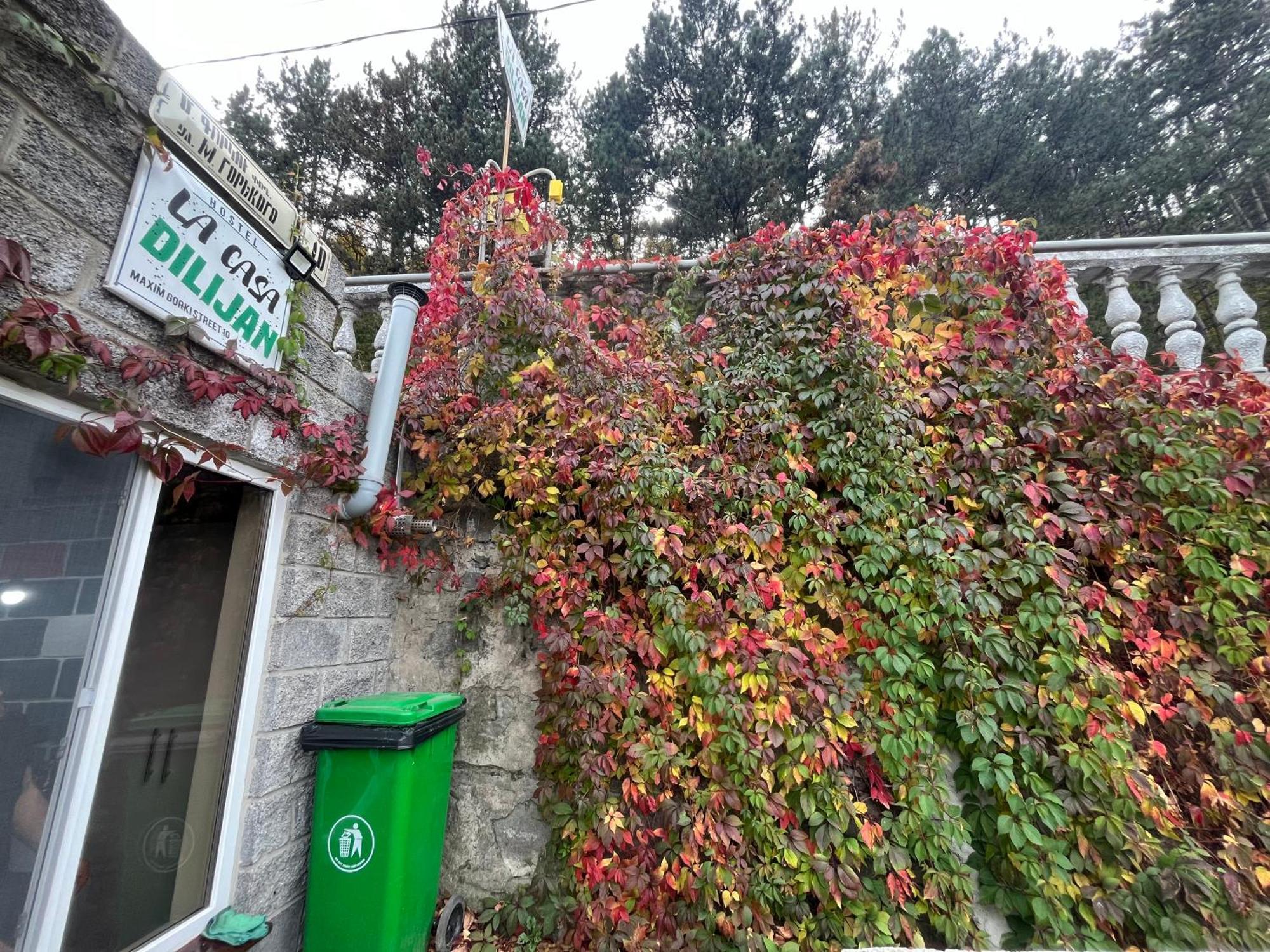 Hostel La Casa Dilican Dış mekan fotoğraf